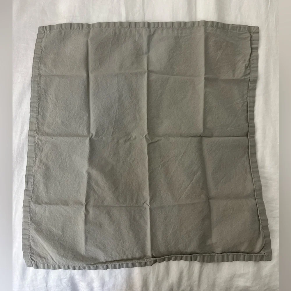 Set of 4 West Elm Napkins